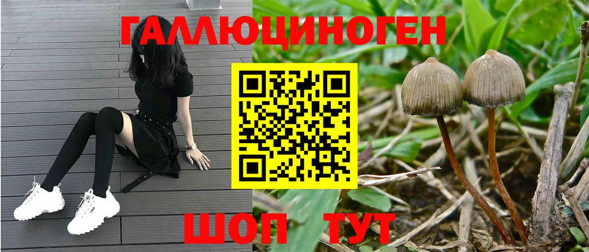 Галлюциногенные грибы MAGIC MUSHROOMS Морозовск